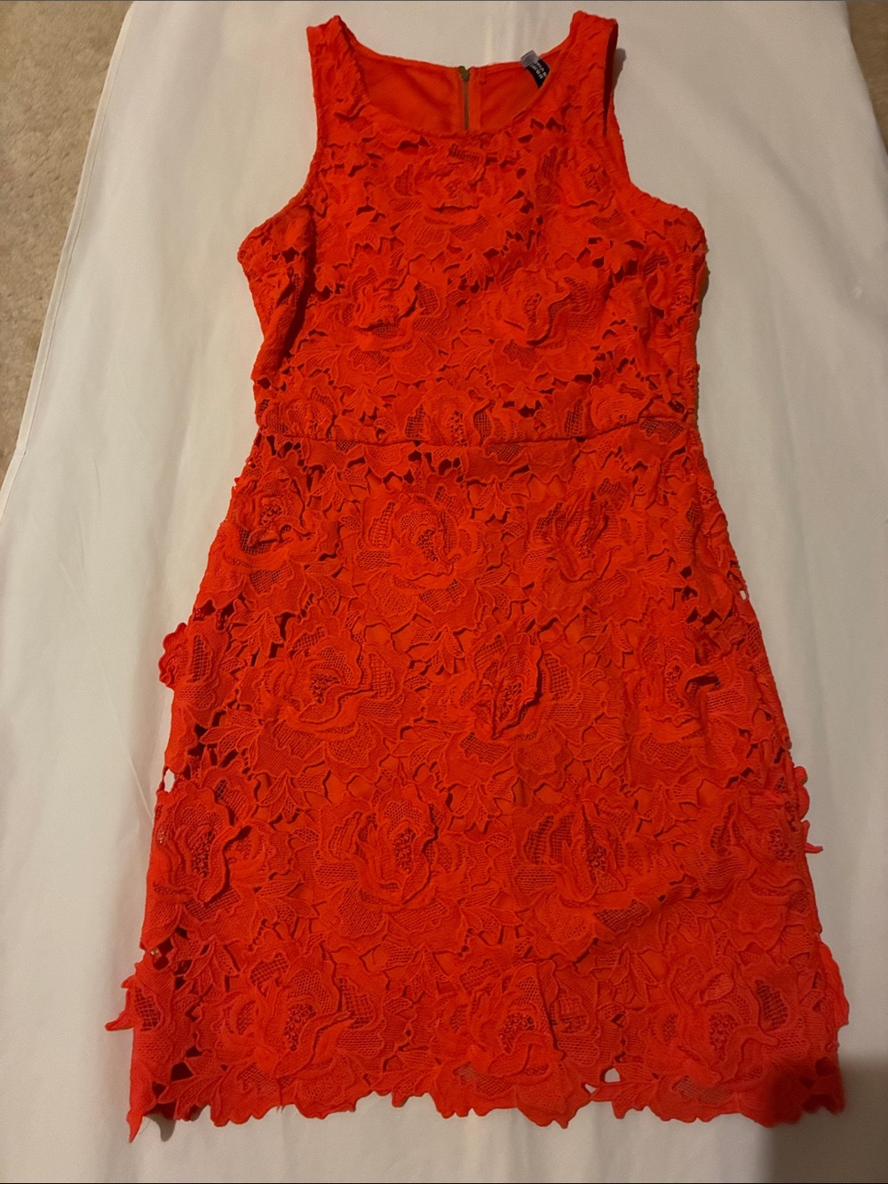 Design Lab Lord & Taylor Bright Orange Lace Mini Dress